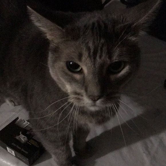 Meet your Posher, Laurie - Picture 1 of 1